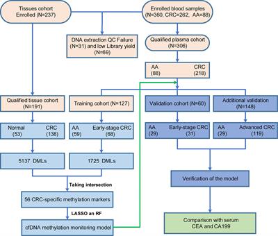 Seven DNA Methylation Biomarker Prediction Models for Monitoring the Malignant Progression From Advanced Adenoma to Colorectal Cancer